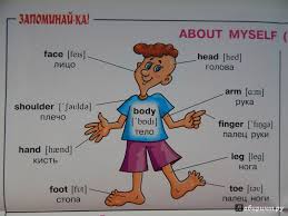Illyustraciya 13 Iz 19 Dlya Anglijskij Rasskaz O Sebe Dlya Uchashihsya 2 5 Klassov Labirint