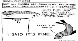 Some of their favorite rivers include the brisbane river, amazon river, ganges river. I Can Has Cheezburger Shark Comics Funny Animals Online Cheezburger
