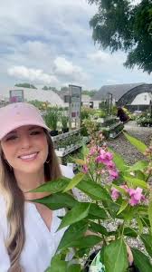 Image result for Orchid Green 2005 Sprinter