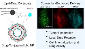 Convection-Enhanced Delivery of Auristatin-Conjugated Layer-by-Layer  Nanoparticles for Glioblastoma Treatment