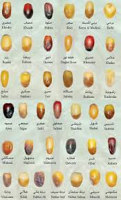 Madina Dates Products Saudi Arabia Madina Dates Supplier Halal Recipes Arabic Food Food