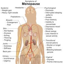 Menopause doesn't cause ovarian cancer. Should Post Menopausal Women With Hysterectomies Avoid Estrogen Therapy To Reduce Ovarian Cancer Ris