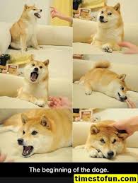 Funny Memes 60 Pictures Funnymemes Funnypictures Humor Funnytexts Funnyquotes Funnyanimals Funny Lol Haha Mem Cute Animals Funny Animals Funny Cute