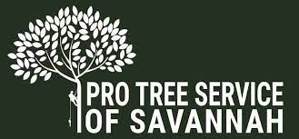 We have 446 homeowner reviews of top savannah tree services. Pro Tree Service Savannah Ga Tree Removal Tree Service Near You