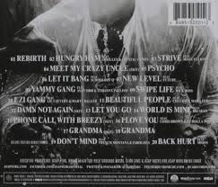 Always Strive And Prosper: A$AP Ferg: Amazon.ca: Music