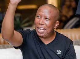 During a recent pr*test by witwatersraand university students, am man was caught by a bul. Happy Birthday To Eff Leader Julius Malema Celebs Now