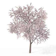 Xfrogplants Blossoming Almond Tree 3d Model Ad Blossoming Xfrogplants Almond Model In 2020 Almond Tree Aesthetic Template Tree