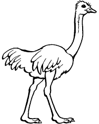 Select from 35970 printable crafts of cartoons, nature click the ostrich coloring pages to view printable version or color it online (compatible with ipad. Ostrich Coloring Pages For Kids Preschool And Kindergarten Zoo Animal Coloring Pages Coloring Pictures Animal Coloring Pages