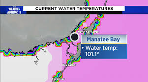 Water Temperatures Hit 'Hot Tub' Levels In The Florida Keys | Smithsonian