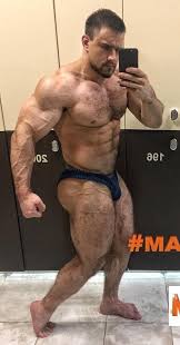 images?q=tbn%3AANd9GcQoeXacIBBEB-fv18LGkPj7mXhnTVP4BDU3zg&usqp=CAU