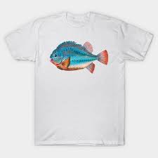 Fish Piranha