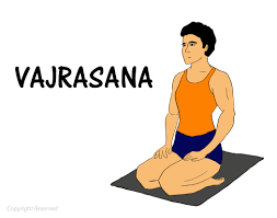 Vajrasana Procedure Benefits Precautions 101yogasan