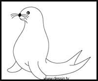 How To Draw Cartoon Seals Sea Lions Realistic Seals Sea Lions Drawing Tutorials Drawing How To Draw Seals Sea Lions Drawing Lessons Step By Step Myart@artforkidshub.com mail us your art how to draw cartoon seals sea lions