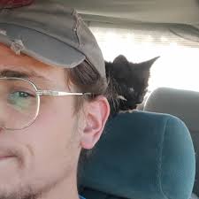 Jeff Busch (@abstract._.sanity) • Instagram photos and videos