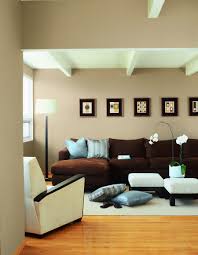 Professional Paint Advisor Pinterest Living Room Paint Paint Colors For Living Room Family Room Remodel