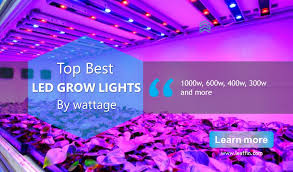Maybe you would like to learn more about one of these? Best Grow Lights By Watts 1000w 600w 400w 300w