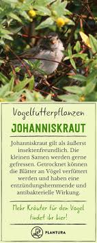 Pin Auf Garten