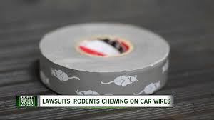 Check spelling or type a new query. Beware Of Rodents Chewing Your Car S Wires Youtube