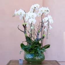 Send flowers tarzana from floom with our partnering tarzana florists, and brighten someone's day with flowers today in los angeles. Get Well Flowers Delivery Tarzana Flowers And Designs By Gina