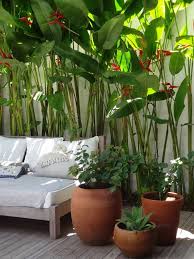 Tropical Patio Design Ideas Renovations Photos Tropical Garden Design Tropical Patio Balinese Garden