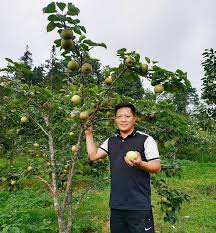 Bí thư đoàn xã mở lối làm giàu