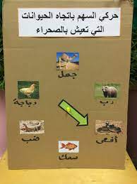 لوحة تقييم حلقة الحيوانات التي تعيش في الصحراء يقوم الطفل بتحريك السهم باتجاه الحيوانات التي ت preschool activities kindergarten activities preschool science