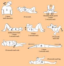 Andersons Stretches Missed Work Today Because Lower Back Seized Up Probably Need To Start Doing Somet Lower Back Exercises Low Back Stretches Fitness