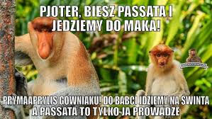 Jest to wyjątkowe święto, kiedy możemy spłatać swoim bliskim niezapomnianego psikusa. Memy Na Prima Aprilis 1 Kwietnia 2019 Zobacz Najsmieszniejsze Memy Obrazki Dowcipy I Zarty Na Prima Aprilis 01 04 2019 Gp24 Pl