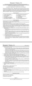 lead line cook resume samples