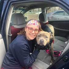 Our adoption team are the best matchmakers around, fill out an application and come meet your match! Pets For Adoption At Guilford County Animal Shelter In Greensboro Nc Petfinder