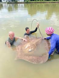 Those who need to come closer......