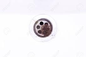 There are a number of pieces of equipment that you will need for this process. Filthy Hair Fallen Out Was Stuck In The Bellows Of The White Washstand Home Cleaning In