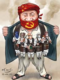 兲朝浮世绘〗中共传授经验给塔利班本性邪恶臭味相投- 澳洲新闻网