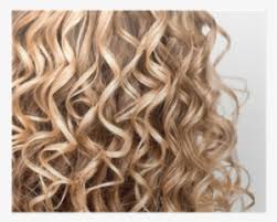 We did not find results for: Curly Hair Png Transparent Curly Hair Png Image Free Download Pngkey