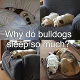 Cascade Bulldogs