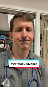I, unfortunately, do not treat trucks. 🤷‍♂️ #VetMedDadJokes  #veterinarymedicine #vetmed #vetmedlife #veterinarian  #veterinariansoftiktok #vettech #vettechprobs #vettechtok #fyp #foryourpage