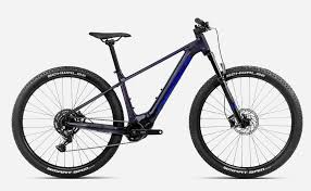 Image result for Orbea umbracula