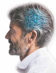 A THERAPEUTIC RESOURCE FOR SENIORS A THERAPEUTIC RESOURCE FOR SENIORS