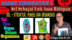 Topik 2 sel sebagai unit asas kehidupan fungsi struktur sel vakuol : Sains Kssm Ting 1 Bab 2 Sel Sebagai Unit Asas Hidupan Unit 2 1 Sel Struktur Fungsi Dan Organisasi Youtube