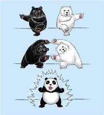 This Is How Panda Was Born Memes Animals Panda