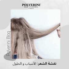 نصائح أكاديمية بولفريني Polverini Academy