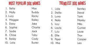 You Might Be Naming Your Dog The Wrong Way Check These 10 Methods For Unique Puppy Names For Boys Behind Nordic Water