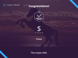 I reached out to over 30 ceos running blockchain startups across the world. Staxe Has Become Part Of The Crypto Elite