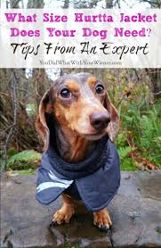 never fear sizing for hurtta dog jackets is easy