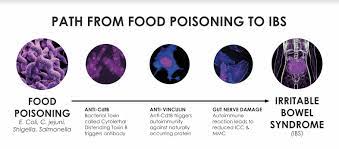 Drink plenty of fluids 4. A Simple Blood Test That Can Reveal The Root Cause Of Your Gut Problems Sibo Sos