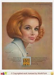 Breck Girl Carol Ryan Trenton Nj Photo By Ralph Williams 1969 Vintage Hair Salons Vintage Hairstyles Breck Shampoo