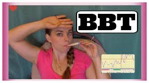 How To Track Ovulation With Basal Body Temperature Bbt