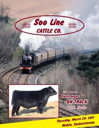 9th Annual Soo Line On Track Bull Sale by Today's Publishing Inc.