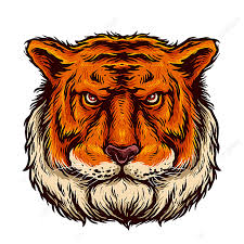 Here is another design i finished recently. Vector Of Tiger Head Tiger Clipart Tiger Face Png And Vector With Transparent Background For Free Download