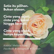 Pin Di Forever Love